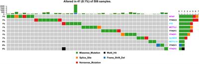 Analysis of Genetic Alteration Signatures and Prognostic Values of m6A Regulatory Genes in Head and Neck Squamous Cell Carcinoma